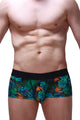 Boxer Chill Souarce Tropical