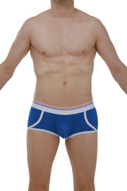Boxer Morrier Blue
