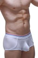 Boxer Morrier White