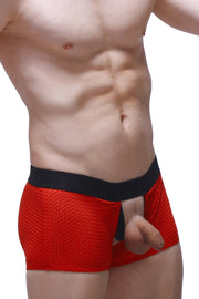 Boxer Olloix Bee Red