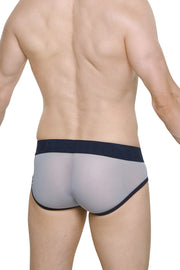 Brief Aurol Net Fog